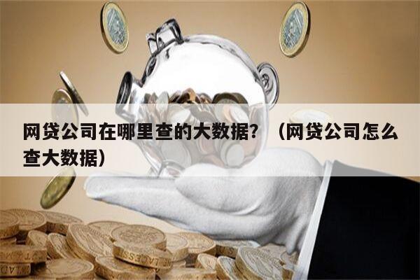 网贷公司在哪里查的大数据？（网贷公司怎么查大数据）