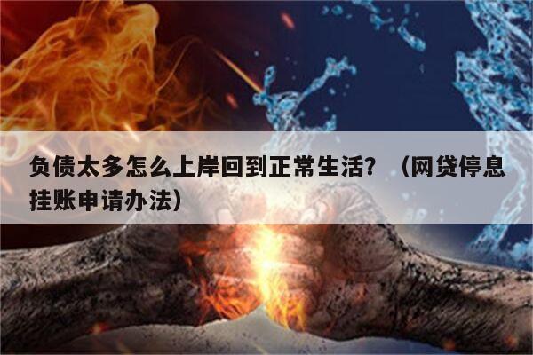 负债太多怎么上岸回到正常生活？（网贷停息挂账申请办法）