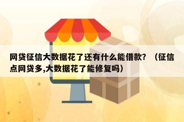 网贷征信大数据花了还有什么能借款？（征信点网贷多,大数据花了能修复吗）