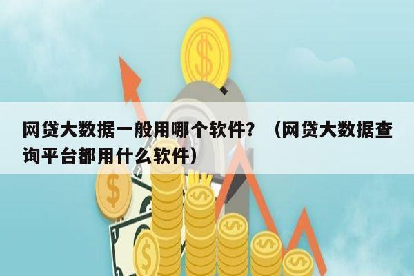 网贷大数据一般用哪个软件？（网贷大数据查询平台都用什么软件）