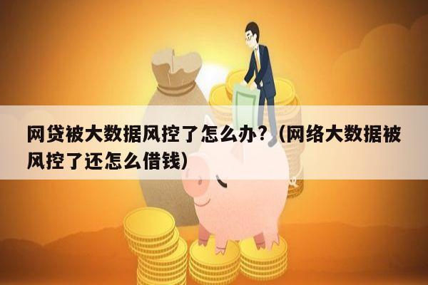 网贷被大数据风控了怎么办?（网络大数据被风控了还怎么借钱）