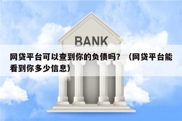 网贷平台可以查到你的负债吗？（网贷平台能看到你多少信息）