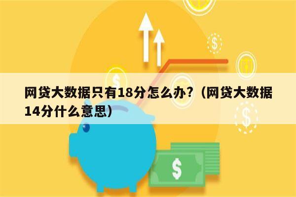 网贷大数据只有18分怎么办?（网贷大数据14分什么意思）