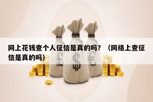 网上花钱查个人征信是真的吗？（网络上查征信是真的吗）