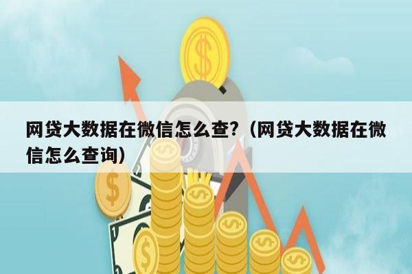 网贷大数据在微信怎么查?（网贷大数据在微信怎么查询）