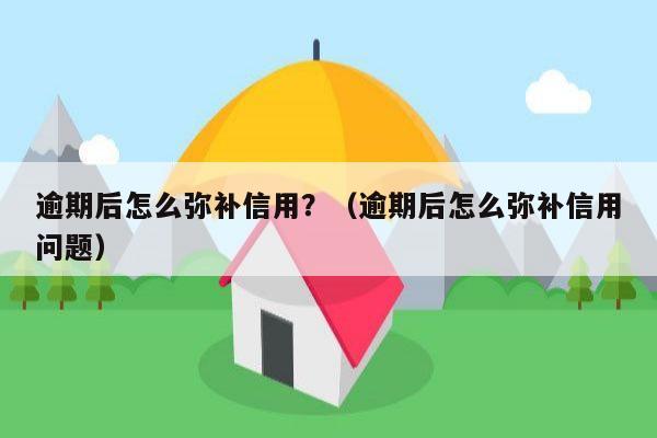 逾期后怎么弥补信用？（逾期后怎么弥补信用问题）