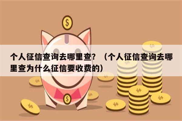 个人征信查询去哪里查？（个人征信查询去哪里查为什么征信要收费的）