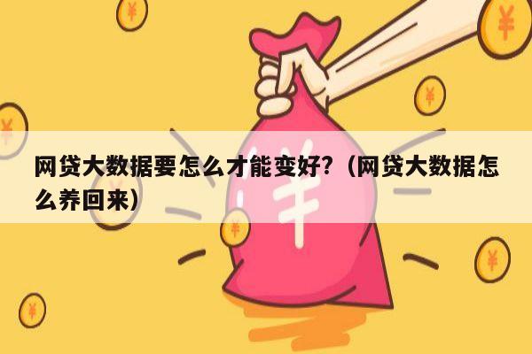 网贷大数据要怎么才能变好?（网贷大数据怎么养回来）