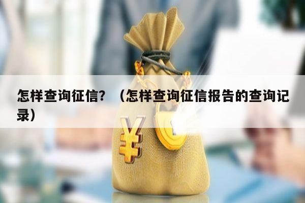 怎样查询征信？（怎样查询征信报告的查询记录）