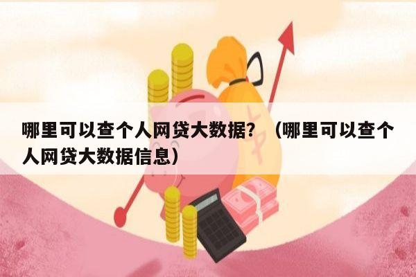 哪里可以查个人网贷大数据？（哪里可以查个人网贷大数据信息）