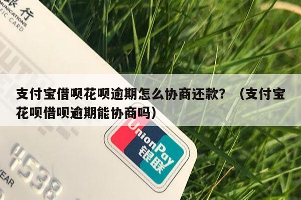 支付宝借呗花呗逾期怎么协商还款？（支付宝花呗借呗逾期能协商吗）