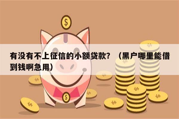 有没有不上征信的小额贷款？（黑户哪里能借到钱啊急用）