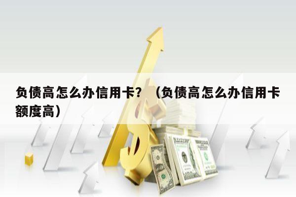 负债高怎么办信用卡？（负债高怎么办信用卡额度高）