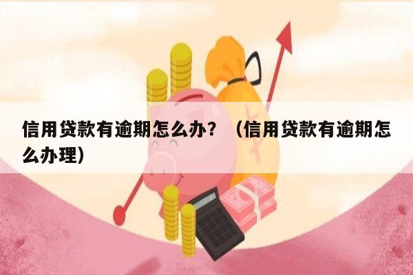 信用贷款有逾期怎么办？（信用贷款有逾期怎么办理）