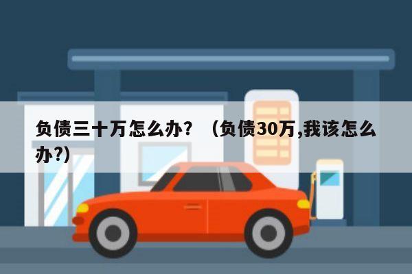 负债三十万怎么办？（负债30万,我该怎么办?）