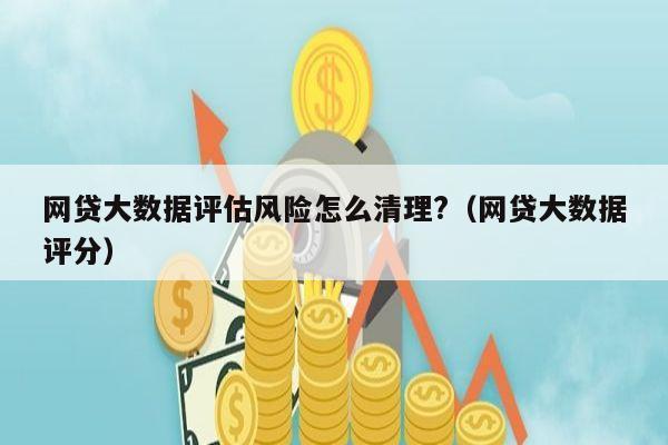 网贷大数据评估风险怎么清理?（网贷大数据评分）