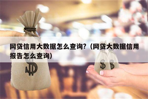 网贷信用大数据怎么查询?（网贷大数据信用报告怎么查询）