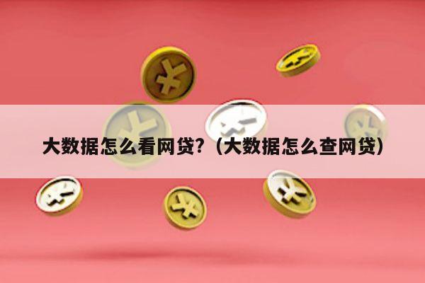 大数据怎么看网贷?（大数据怎么查网贷）