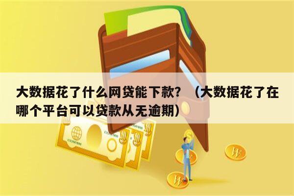 大数据花了什么网贷能下款？（大数据花了在哪个平台可以贷款从无逾期）