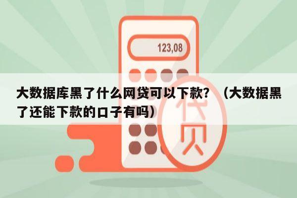 大数据库黑了什么网贷可以下款？（大数据黑了还能下款的口子有吗）